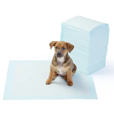 petpoint