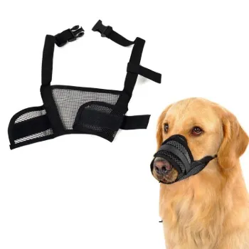 petpoint