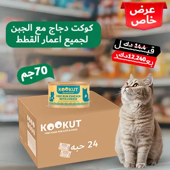petpoint