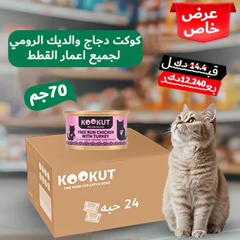 petpoint