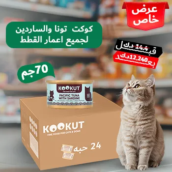 petpoint