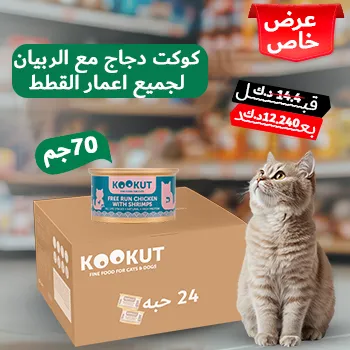petpoint