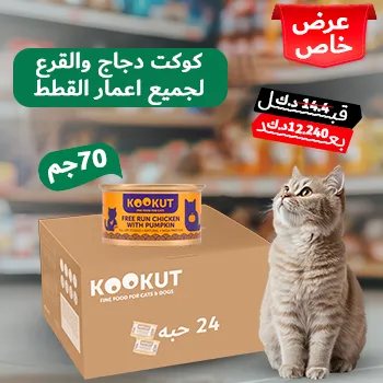 petpoint