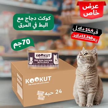 petpoint