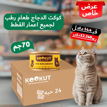 petpoint