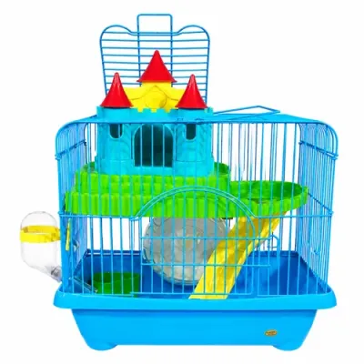 petpoint