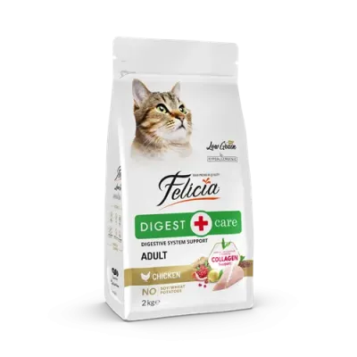 petpoint