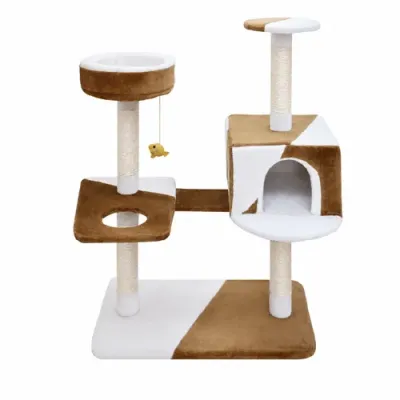 petpoint