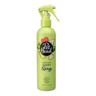 petpoint