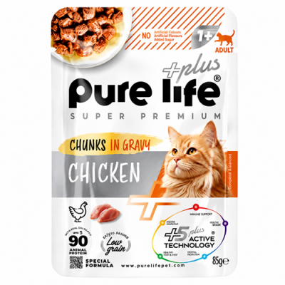 petpoint