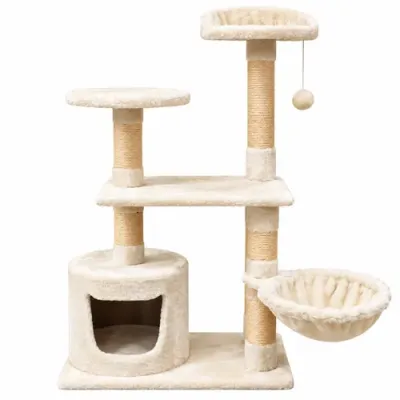 petpoint