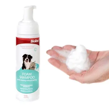 petpoint