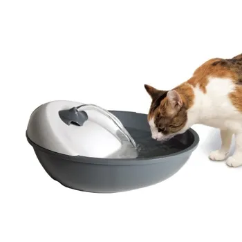 petpoint