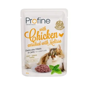 petpoint