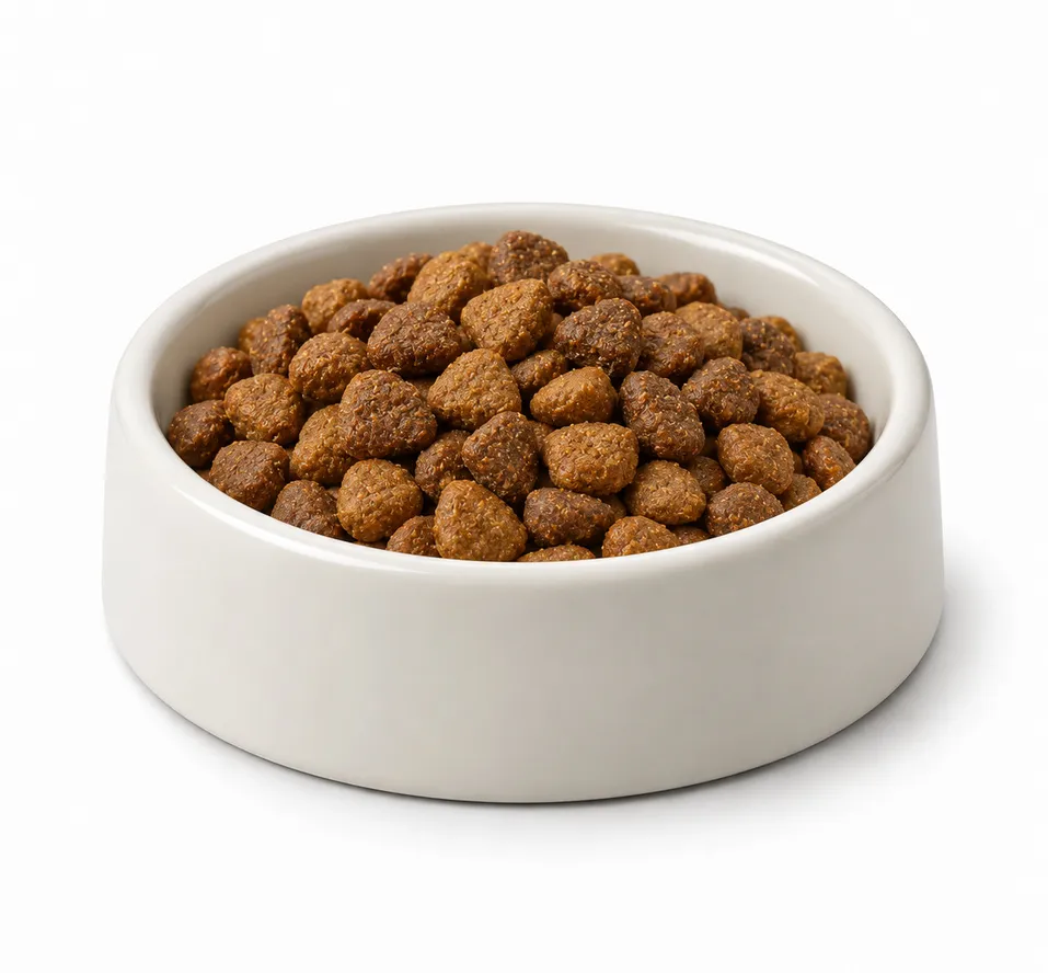 الطعام