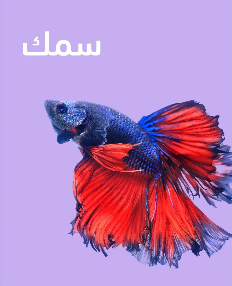 سمك