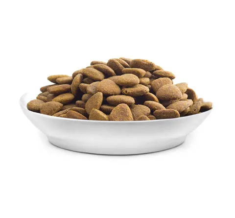 طعام جاف