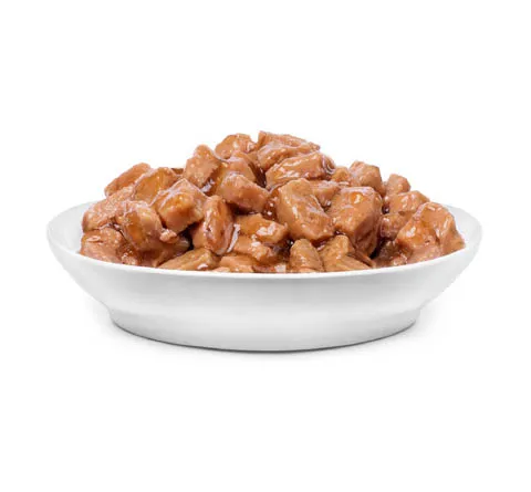 طعام رطب