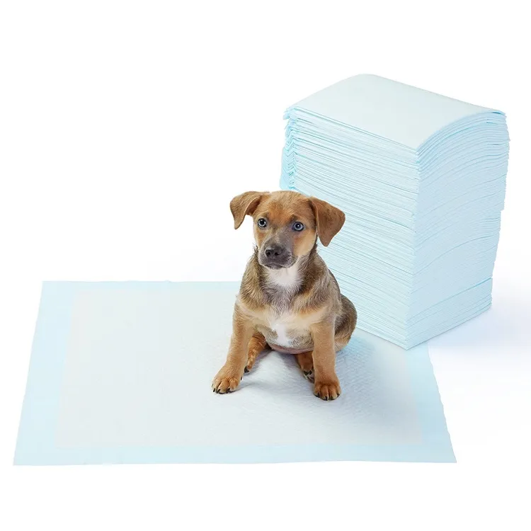 petpoint