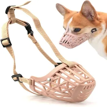 petpoint