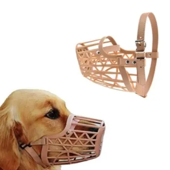 petpoint