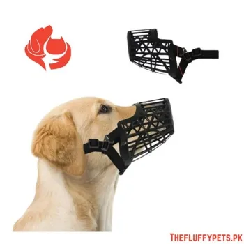 petpoint
