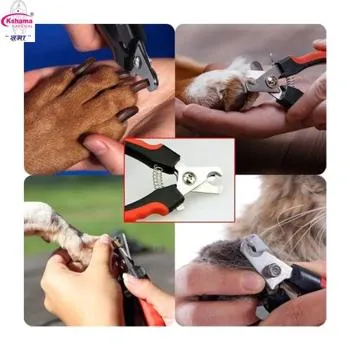 petpoint