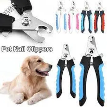 petpoint