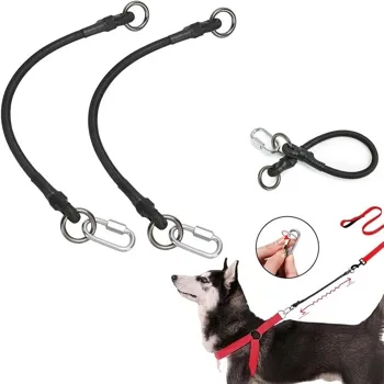 petpoint