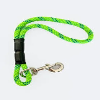 petpoint