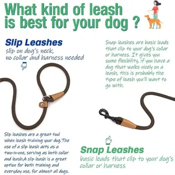 petpoint