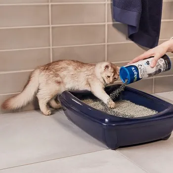 petpoint