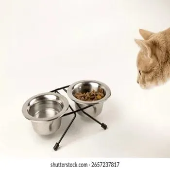 petpoint