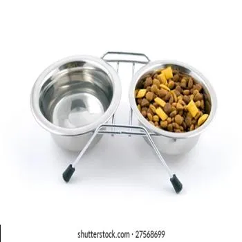 petpoint
