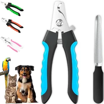 petpoint