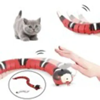 petpoint