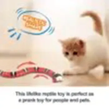 petpoint