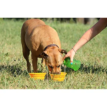 petpoint