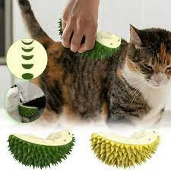 petpoint