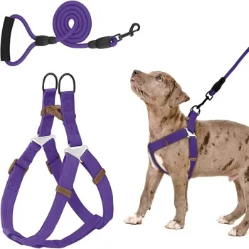 petpoint