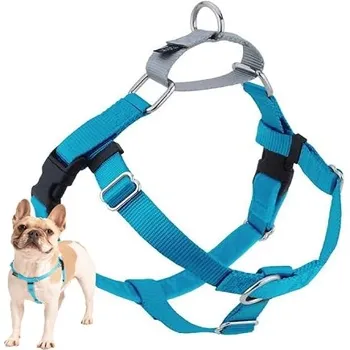 petpoint