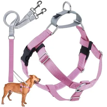petpoint