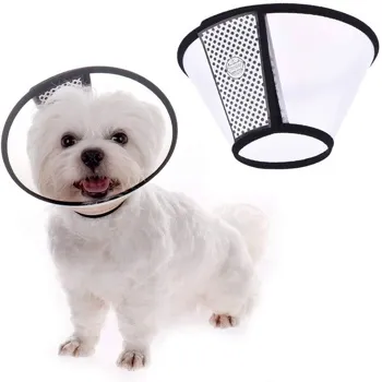 petpoint