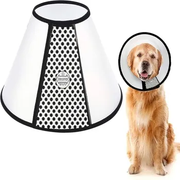 petpoint