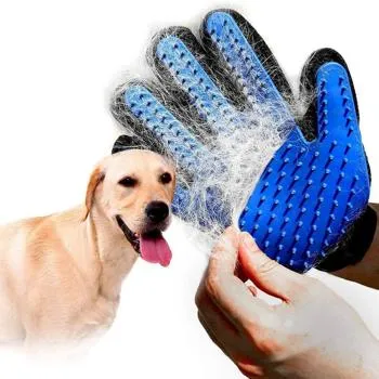 petpoint