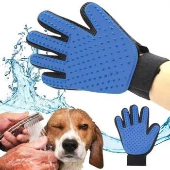 petpoint