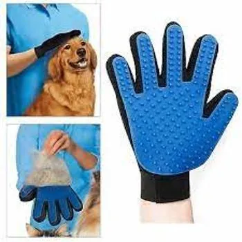 petpoint