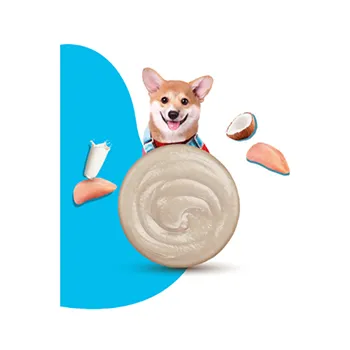 petpoint