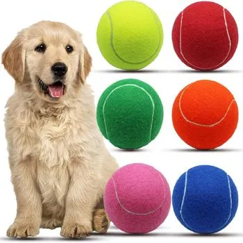 petpoint