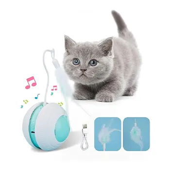 petpoint